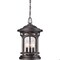 Quoizel Marblehead Outdoor Hanging Lantern MBH1911PN - alternate 1